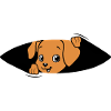 Baby dog