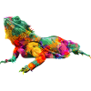 Bartdrache bunt