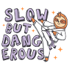 Slow but dangerous Karate Sloth