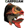 Carpbuam fishing