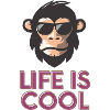 life is cool