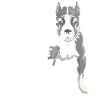 My Pitbull Is Harmless
