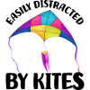 Flying kites