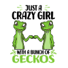 Geckos