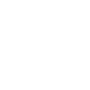 Party