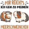 Meerschweinchen