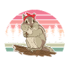 Chipmunk Pet | Chipmunk Gift Ideas