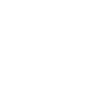 Detroit Ice Hockey