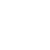 Florida Eishockey