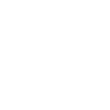 Pittsburgh Ice Hockey