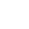 Washington Ice Hockey