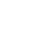 Nashville Ice Hockey