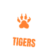 Protect Bengal Tigers