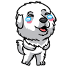 Pyrenean Mountain Dog Laughing