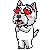 West Highland White Terrier Dog Westie