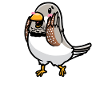 Zebra Finch Bird Emoticon
