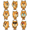 Zwergspitz Dog Pomeranian Emoticon