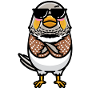 Zebra Finch Bird Emoticon With