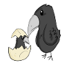 Crow with baby crow