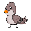 House Sparrow Bird