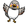 Zebra Finch Bird Emoticon