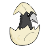 Crow Baby Egg