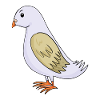 Dove