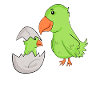Parrot with baby parrot