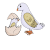 Pigeon avec bébé pigeon