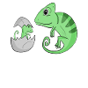 Caméléon avec bébé caméléon
