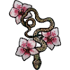 Snake Orchids