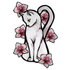 Orchidées Roses Chat Blanc