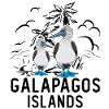 Gannets Seabirds Blue-footed