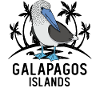 Gannets Seabirds Blue-footed