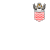 Zebra Finch Bird In Pocket