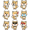 Shiba Dog Emoticon