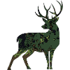 Bock Camouflage