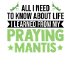 Gottesanbeterin Mantis Fangschrecke