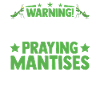 Gottesanbeterin Mantis Fangschrecke
