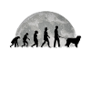 Kuvasz Evolution Moon