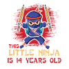 Birth Born Age 14 Years Old Japan Japanese Ninja