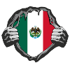mexico Flag Design