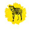 Hyena