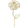 rose dorée