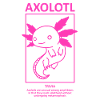 Axolotl lover Ambystoma Mexicanum drawing