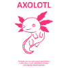 Axolotl Ambystoma Streetwear Aesthetics Pet
