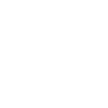 Spider Dad