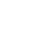 Spider Papa