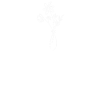 Flower Vase Flowers Heartbeat