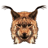 deutsche Raubkatze, eurasischer Luchs Kopf